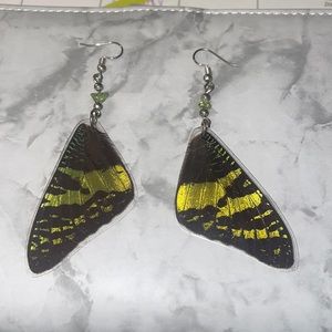 Butterfly wing earrings laminated